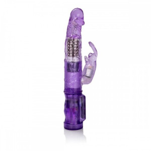 vibrator